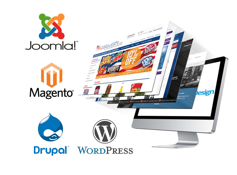 website designing company in ludhiana punjab india